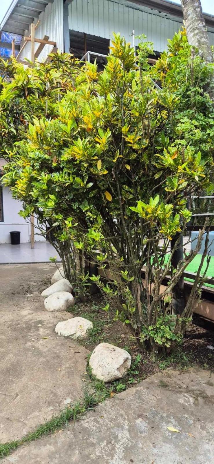 Bluelight Village Hotel Nadi Luaran gambar